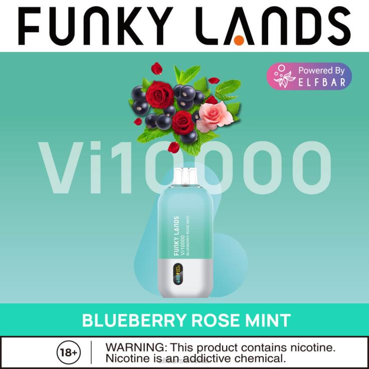 ELFBAR funky lands vape za enkratno uporabo vi10000 puffs borovničev led 80DD6158